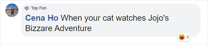 5 Untold Struggles Of Having A Cat 5 Untold Struggles Of Having A Cat