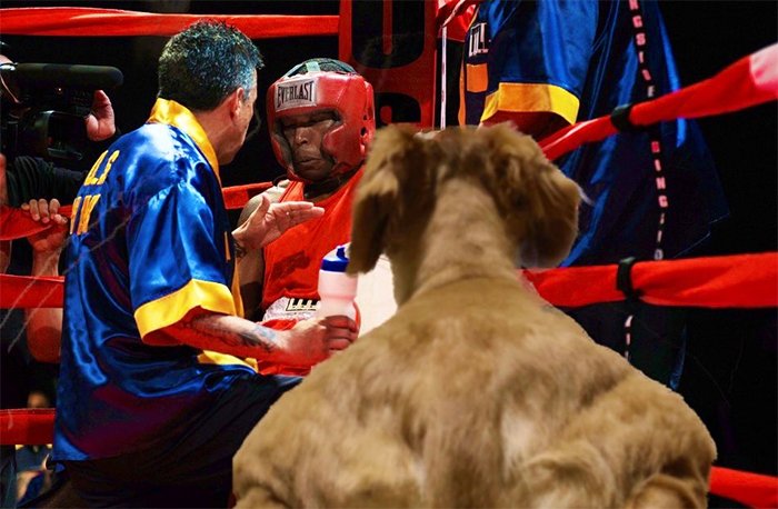 Someone Shares Pic Of An Absolute Unit Of A Dog, 16 Twitter Users Photoshop And Draw It In A Hilarious Way Someone Shares Pic Of An Absolute Unit Of A Dog, 16 Twitter Users Photoshop And Draw It In A Hilarious Way