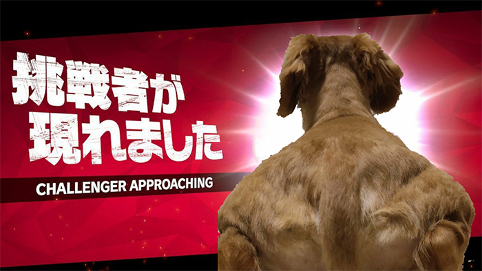 Someone Shares Pic Of An Absolute Unit Of A Dog, 16 Twitter Users Photoshop And Draw It In A Hilarious Way Someone Shares Pic Of An Absolute Unit Of A Dog, 16 Twitter Users Photoshop And Draw It In A Hilarious Way