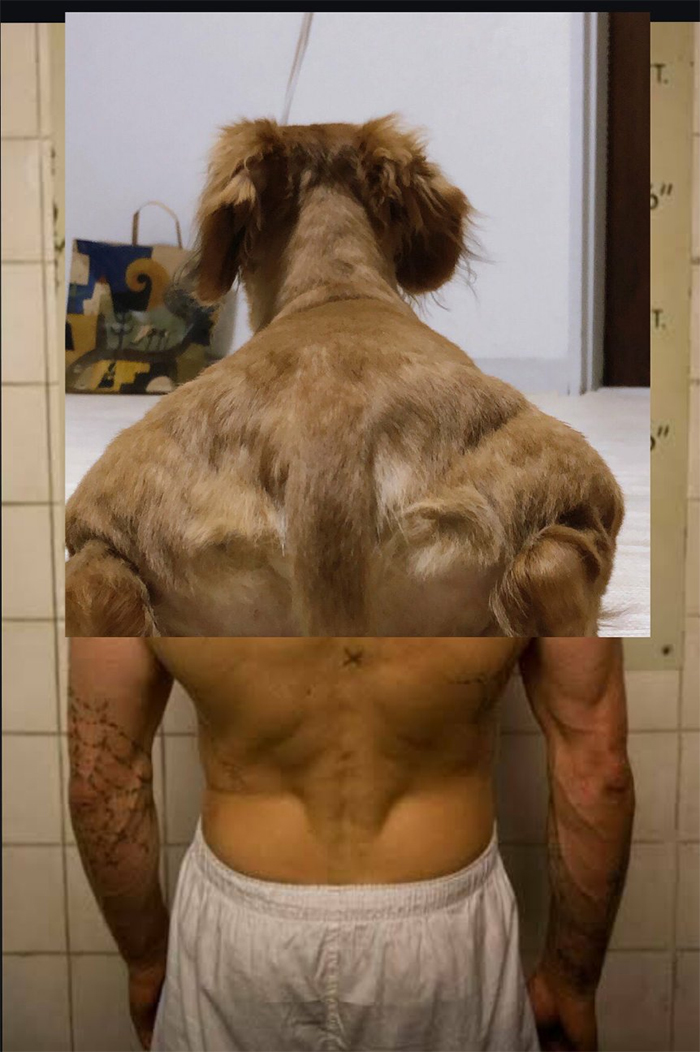 Someone Shares Pic Of An Absolute Unit Of A Dog, 16 Twitter Users Photoshop And Draw It In A Hilarious Way Someone Shares Pic Of An Absolute Unit Of A Dog, 16 Twitter Users Photoshop And Draw It In A Hilarious Way