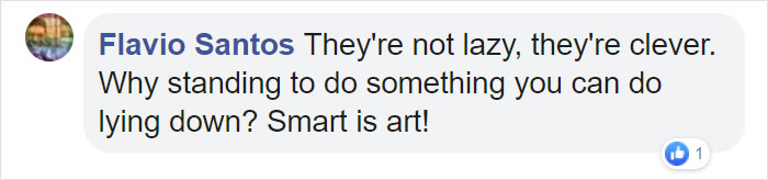 These 2 Wolves Went Viral For Being So Lazy That They Howl While Lying Down These 2 Wolves Went Viral For Being So Lazy That They Howl While Lying Down