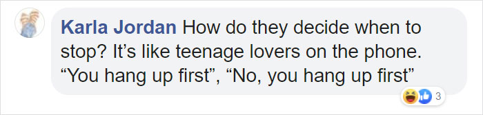 These 2 Wolves Went Viral For Being So Lazy That They Howl While Lying Down These 2 Wolves Went Viral For Being So Lazy That They Howl While Lying Down