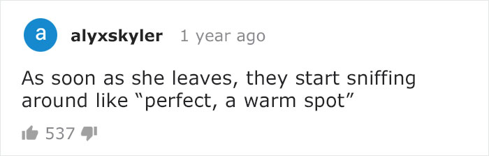 Adorable Video Of This Mama Wolf’s Free Time Being Interrupted By Her Pups Is Capturing People’s Hearts Adorable Video Of This Mama Wolf’s Free Time Being Interrupted By Her Pups Is Capturing People’s Hearts