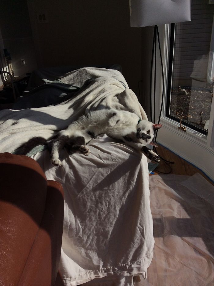 Pandas, What Is Your Favorite Hobby? (Ended)