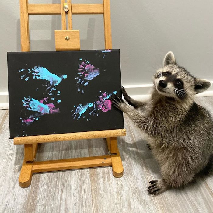 Proud Raccoon Artists Are Posing Next To Their Paintings And They Look So Happy Proud Raccoon Artists Are Posing Next To Their Paintings And They Look So Happy