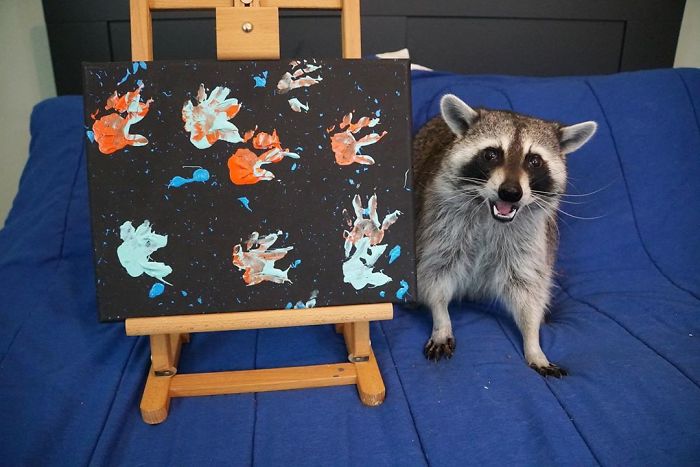 Proud Raccoon Artists Are Posing Next To Their Paintings And They Look So Happy Proud Raccoon Artists Are Posing Next To Their Paintings And They Look So Happy