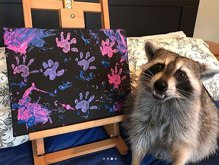 Proud Raccoon Artists Are Posing Next To Their Paintings And They Look So Happy Proud Raccoon Artists Are Posing Next To Their Paintings And They Look So Happy