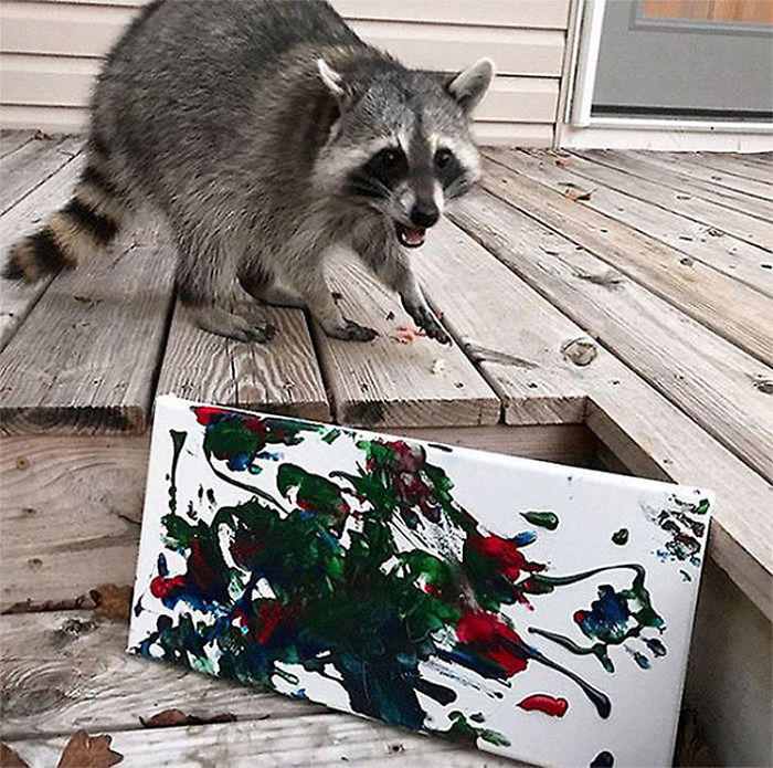 Proud Raccoon Artists Are Posing Next To Their Paintings And They Look So Happy Proud Raccoon Artists Are Posing Next To Their Paintings And They Look So Happy