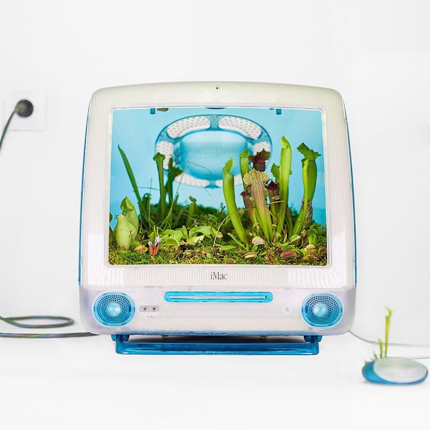 46 Nature Sculptures And Installations By Monsieur Plant 46 Nature Sculptures And Installations By Monsieur Plant