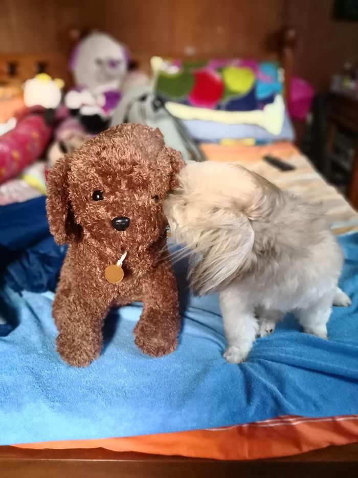 Hey Pandas, What’s Your Favorite Childhood Toy? (Closed) Hey Pandas, What’s Your Favorite Childhood Toy? (Closed)