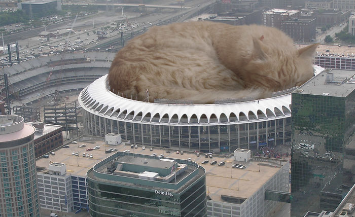 Digital Artists Photoshopped Oversized Animals And The Result Might Give You Nightmares (110 Pics)