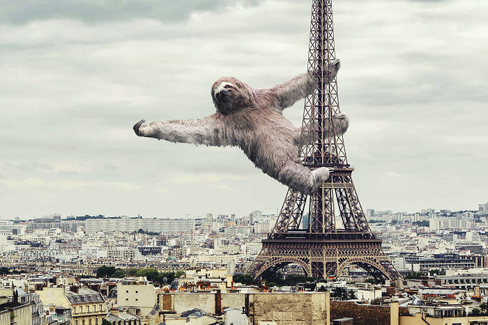 Digital Artists Photoshopped Oversized Animals And The Result Might Give You Nightmares (110 Pics)