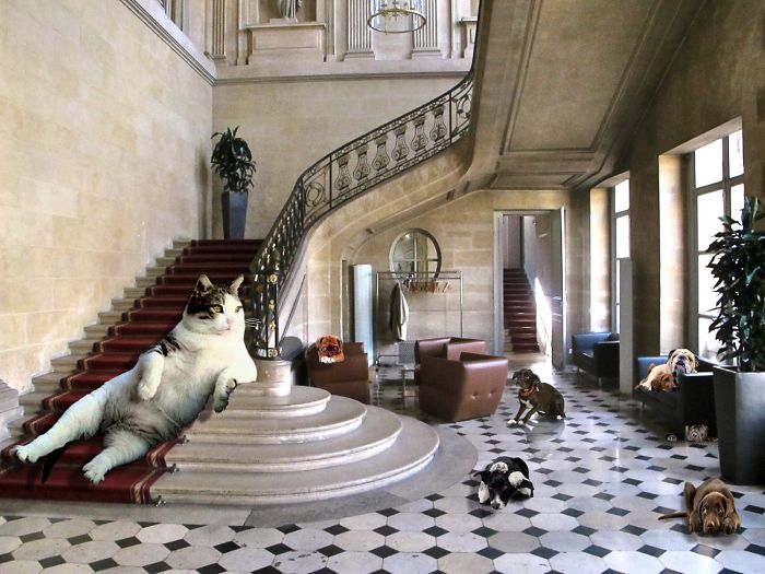 Digital Artists Photoshopped Oversized Animals And The Result Might Give You Nightmares (110 Pics)