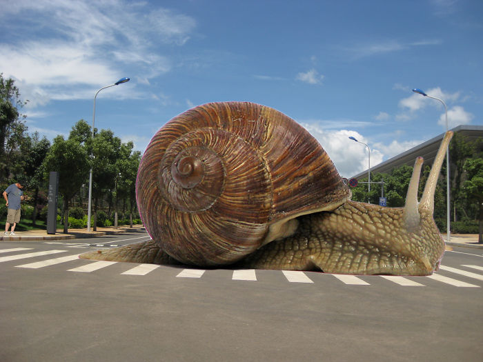 Digital Artists Photoshopped Oversized Animals And The Result Might Give You Nightmares (110 Pics)