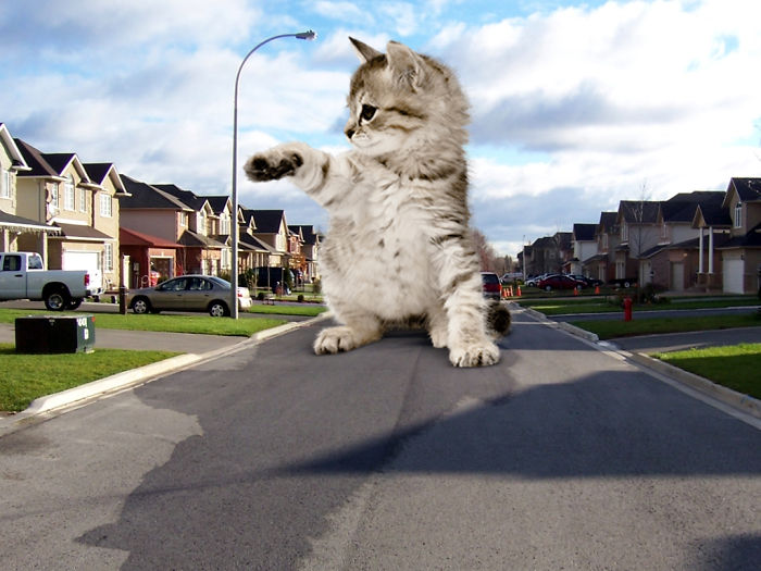 Digital Artists Photoshopped Oversized Animals And The Result Might Give You Nightmares (110 Pics)