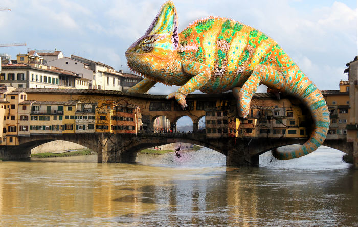 Digital Artists Photoshopped Oversized Animals And The Result Might Give You Nightmares (110 Pics)