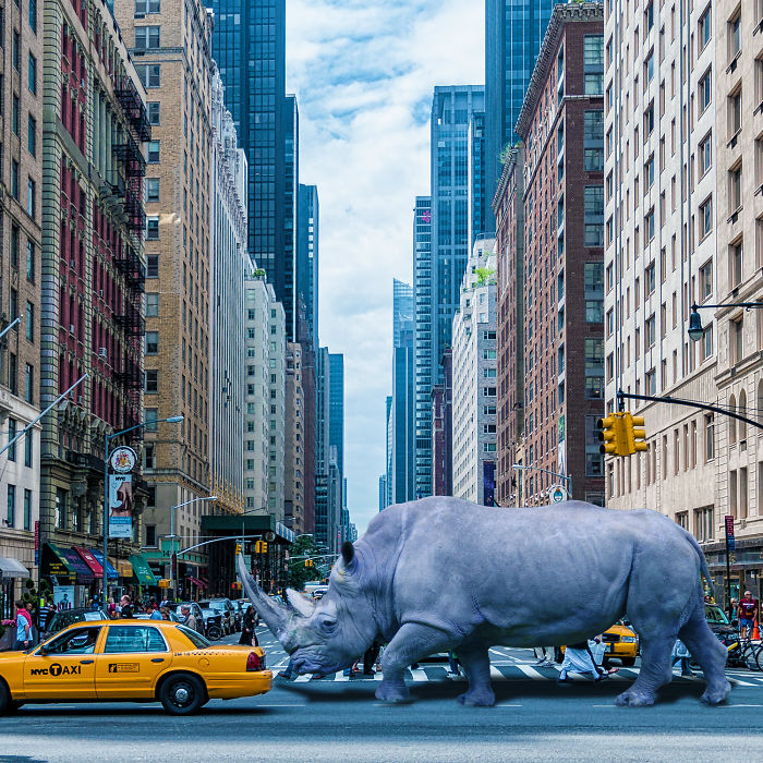 Digital Artists Photoshopped Oversized Animals And The Result Might Give You Nightmares (110 Pics)