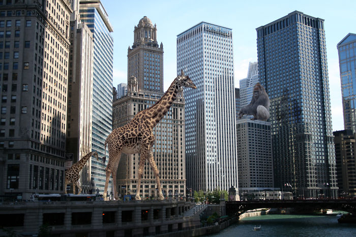 Digital Artists Photoshopped Oversized Animals And The Result Might Give You Nightmares (110 Pics)