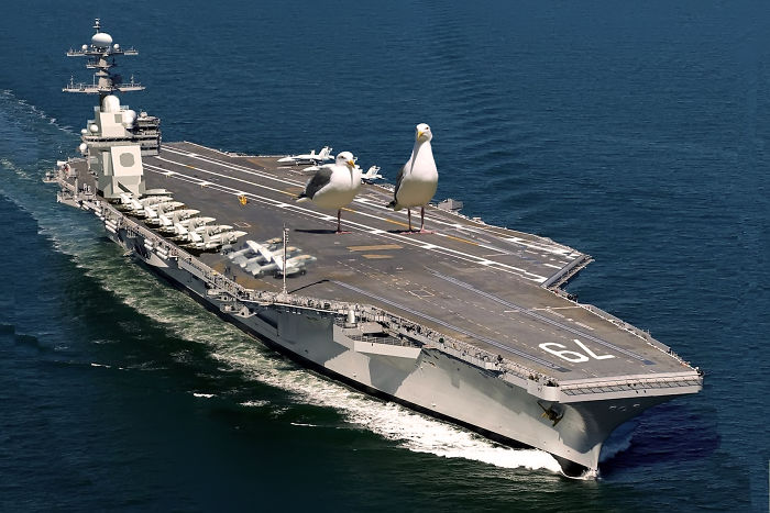 Digital Artists Photoshopped Oversized Animals And The Result Might Give You Nightmares (110 Pics)