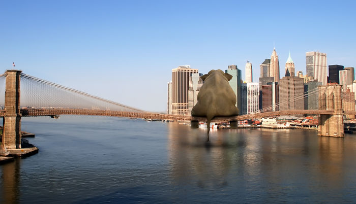 Digital Artists Photoshopped Oversized Animals And The Result Might Give You Nightmares (110 Pics)