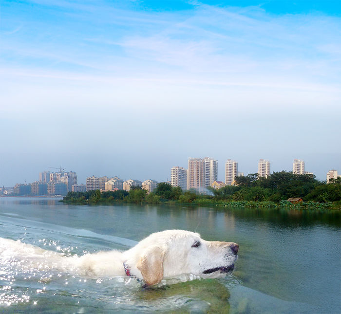 Digital Artists Photoshopped Oversized Animals And The Result Might Give You Nightmares (110 Pics)