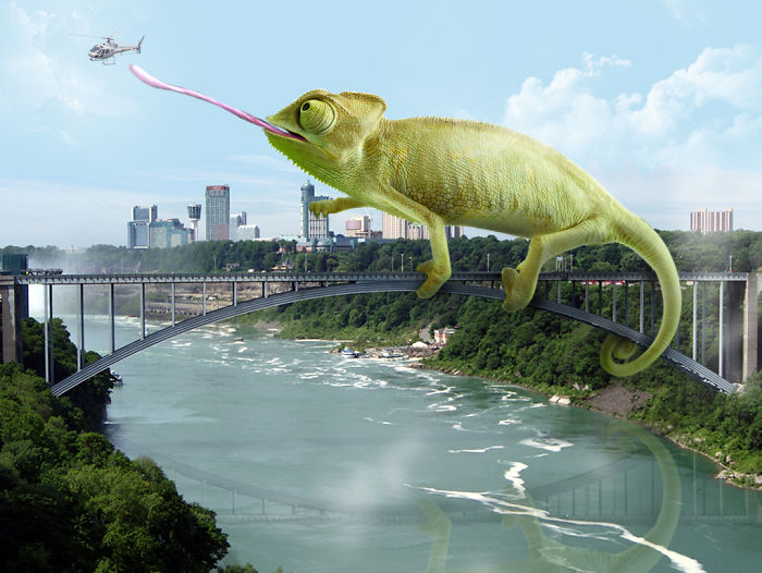 Digital Artists Photoshopped Oversized Animals And The Result Might Give You Nightmares (110 Pics)