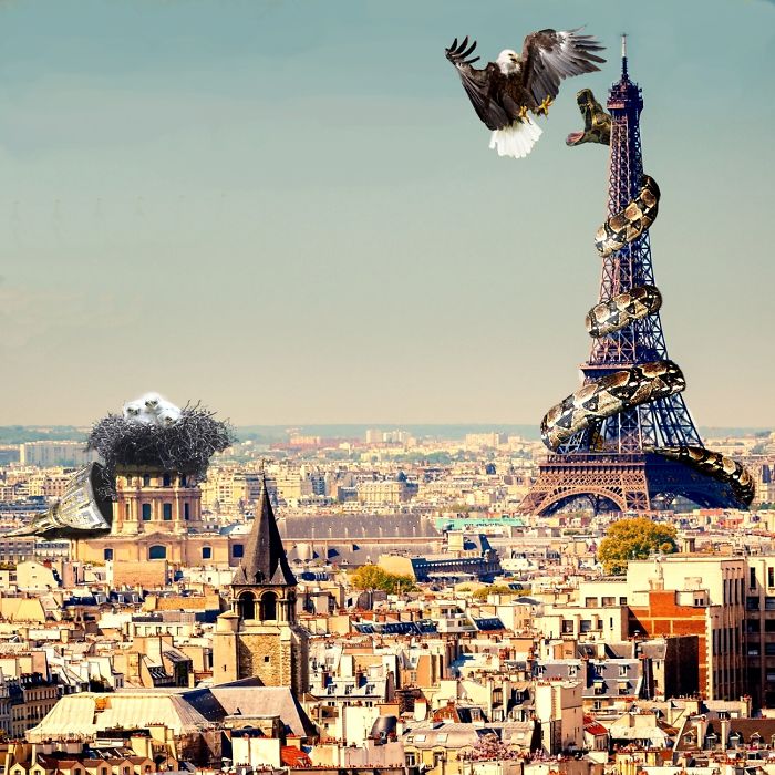 Digital Artists Photoshopped Oversized Animals And The Result Might Give You Nightmares (110 Pics)