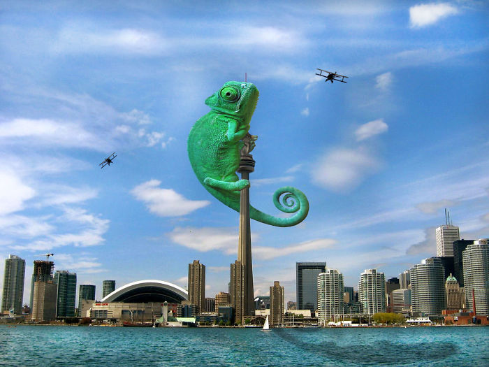 Digital Artists Photoshopped Oversized Animals And The Result Might Give You Nightmares (110 Pics)