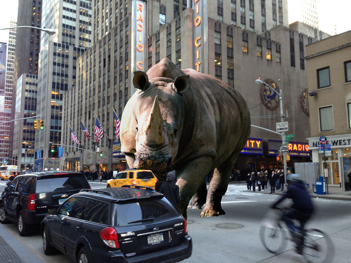 Digital Artists Photoshopped Oversized Animals And The Result Might Give You Nightmares (110 Pics)