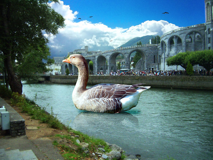 Digital Artists Photoshopped Oversized Animals And The Result Might Give You Nightmares (110 Pics)