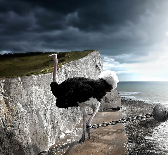 Digital Artists Photoshopped Oversized Animals And The Result Might Give You Nightmares (110 Pics)