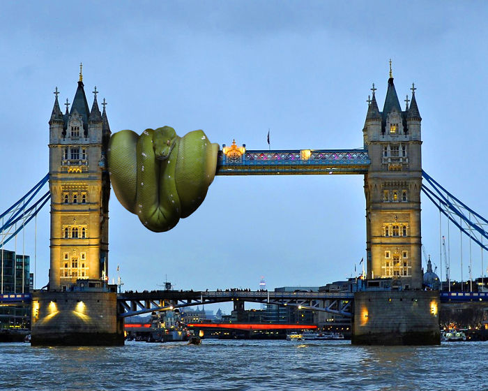 Digital Artists Photoshopped Oversized Animals And The Result Might Give You Nightmares (110 Pics)