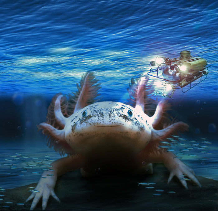 Digital Artists Photoshopped Oversized Animals And The Result Might Give You Nightmares (110 Pics)