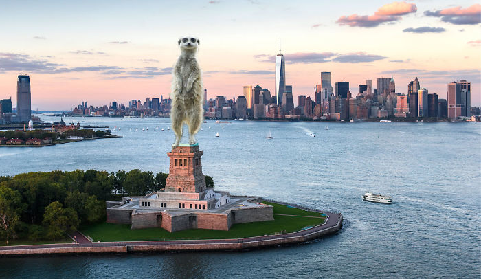 Digital Artists Photoshopped Oversized Animals And The Result Might Give You Nightmares (110 Pics)