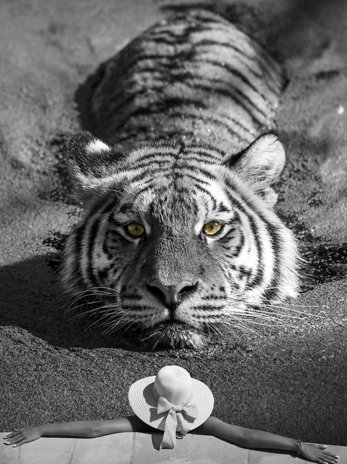 Digital Artists Photoshopped Oversized Animals And The Result Might Give You Nightmares (110 Pics)