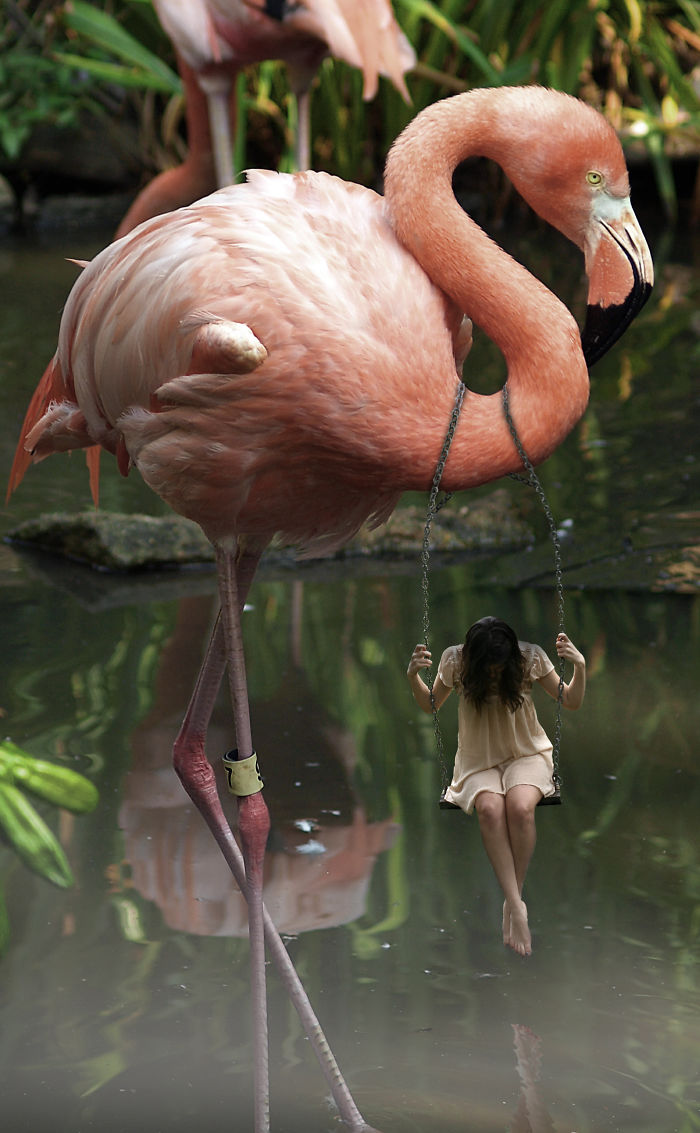 Digital Artists Photoshopped Oversized Animals And The Result Might Give You Nightmares (110 Pics)
