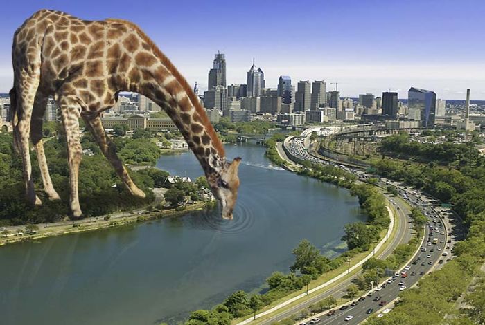 Digital Artists Photoshopped Oversized Animals And The Result Might Give You Nightmares (110 Pics)