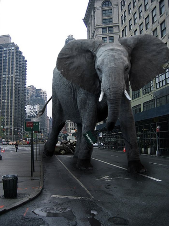 Digital Artists Photoshopped Oversized Animals And The Result Might Give You Nightmares (110 Pics)