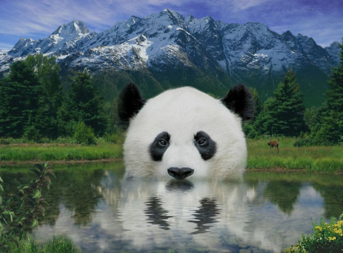 Digital Artists Photoshopped Oversized Animals And The Result Might Give You Nightmares (110 Pics)