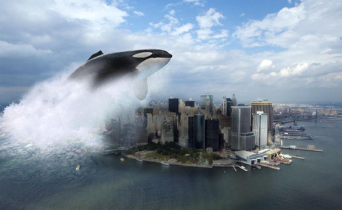 Digital Artists Photoshopped Oversized Animals And The Result Might Give You Nightmares (110 Pics)