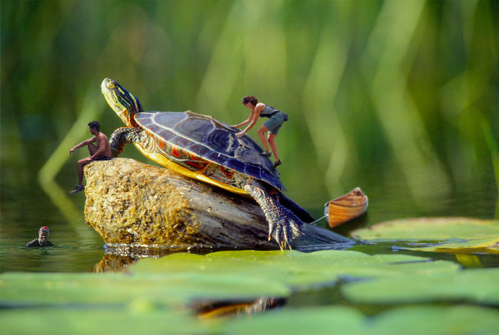 Digital Artists Photoshopped Oversized Animals And The Result Might Give You Nightmares (110 Pics)