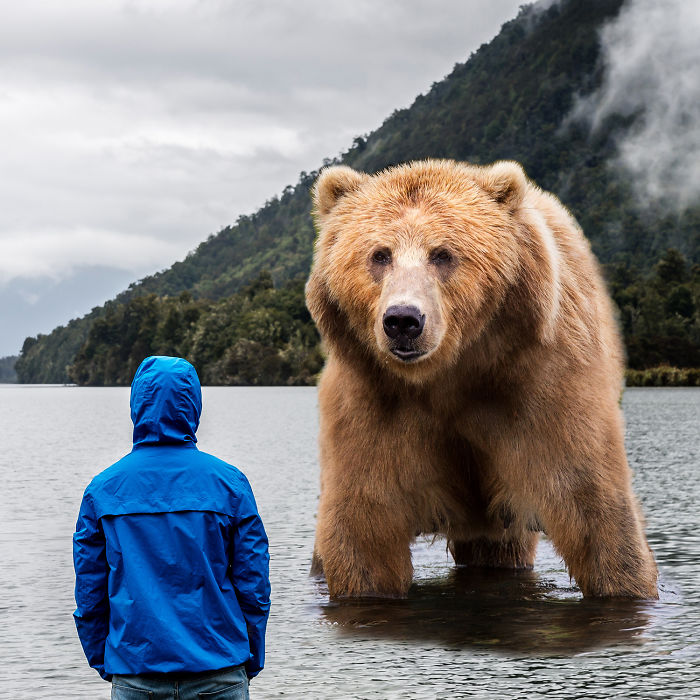 Digital Artists Photoshopped Oversized Animals And The Result Might Give You Nightmares (110 Pics)