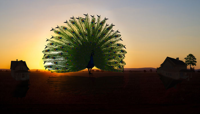 Digital Artists Photoshopped Oversized Animals And The Result Might Give You Nightmares (110 Pics)