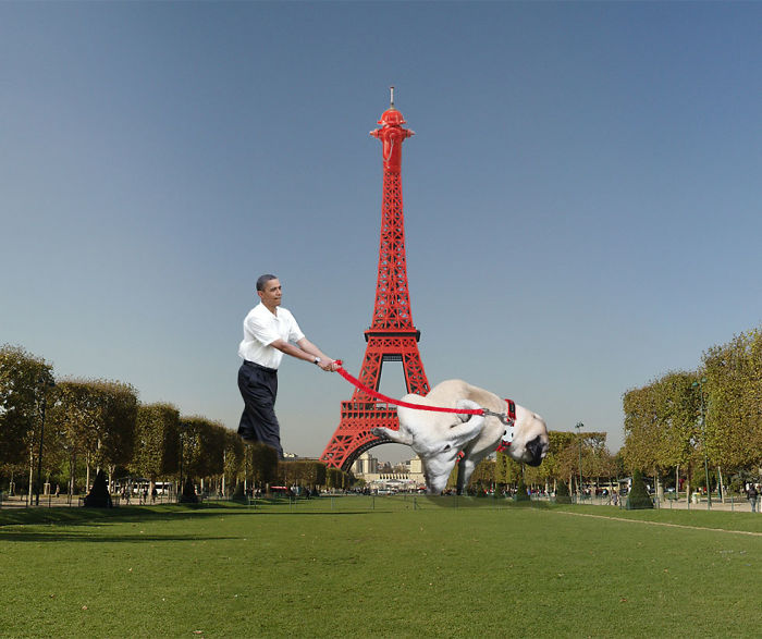 Digital Artists Photoshopped Oversized Animals And The Result Might Give You Nightmares (110 Pics)