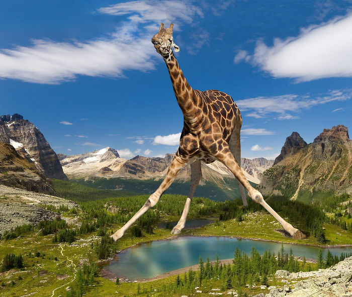 Digital Artists Photoshopped Oversized Animals And The Result Might Give You Nightmares (110 Pics)