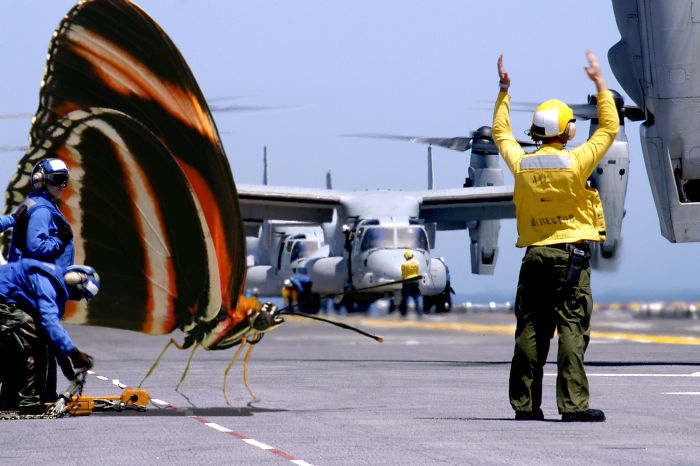 Digital Artists Photoshopped Oversized Animals And The Result Might Give You Nightmares (110 Pics)