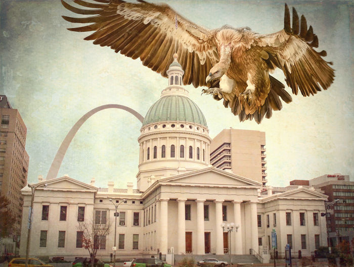 Digital Artists Photoshopped Oversized Animals And The Result Might Give You Nightmares (110 Pics)