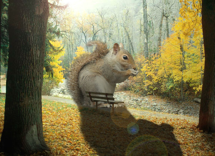 Digital Artists Photoshopped Oversized Animals And The Result Might Give You Nightmares (110 Pics)