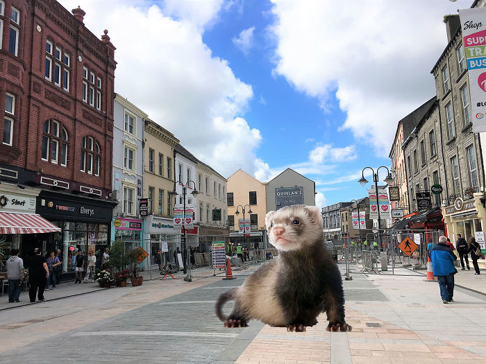 Digital Artists Photoshopped Oversized Animals And The Result Might Give You Nightmares (110 Pics)