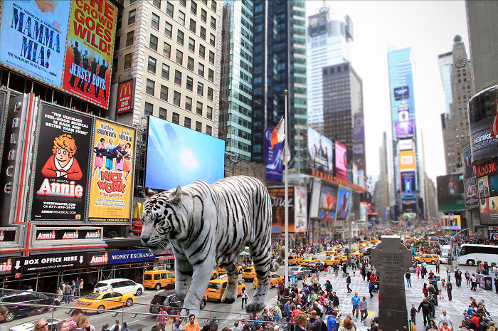 Digital Artists Photoshopped Oversized Animals And The Result Might Give You Nightmares (110 Pics)